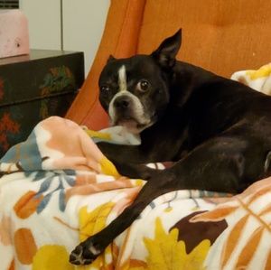 Meet your Posher, Alan